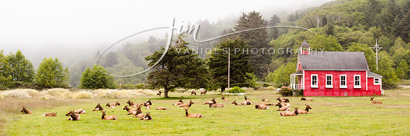 IMG_6086-2-VanidesPhotography