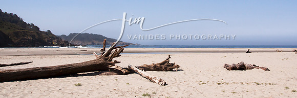 IMG_6112-2-VanidesPhotography