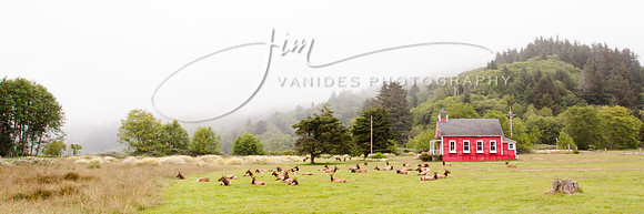 IMG_6085-2-VanidesPhotography