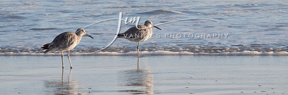 IMG_9182-2-VanidesPhotography
