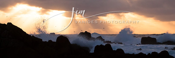 IMG_7316-VanidesPhotography-2