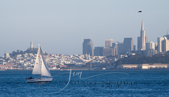 (TIFF) San Francisco Bay